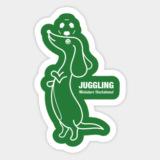 Miniature Dachshund JUGGLING -White- Sticker